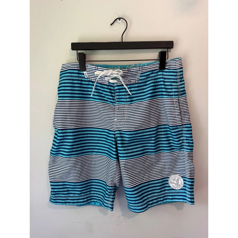 American Eagle Mens Blue White Striped Board Shorts Swim Trunks Size Medium